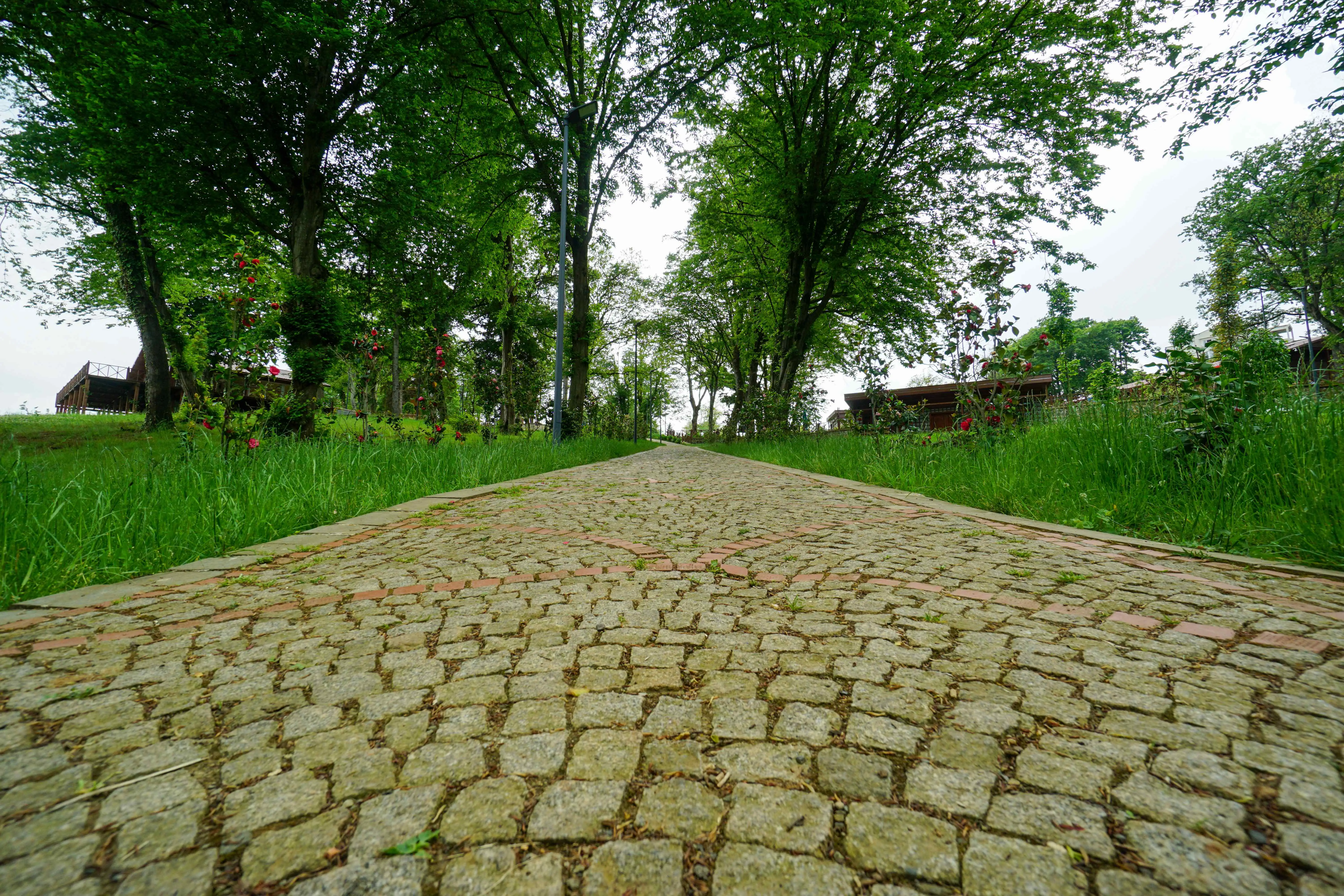 Botanik parki (30)
